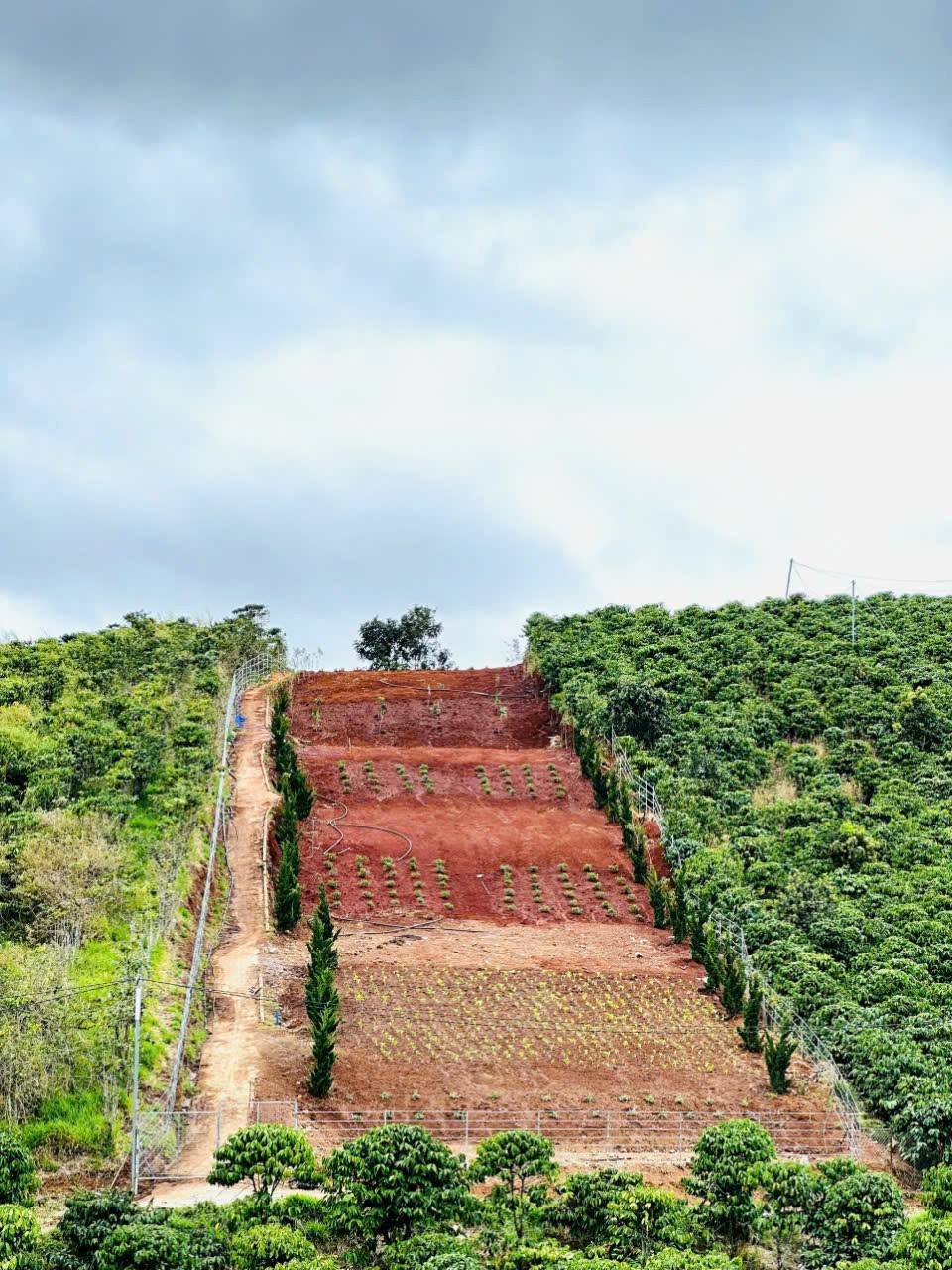 Hạ giá Bán gấp Lô Đất rộng view đẹp Tà Nung, Đà Lạt 2554m2 giá chỉ 4 tỷ - Ảnh chính